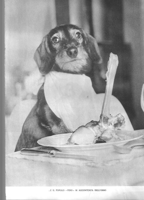 IL FIDO POPOLO ITALIANO SI ACCONTENTA DELL'OSSO...jpg